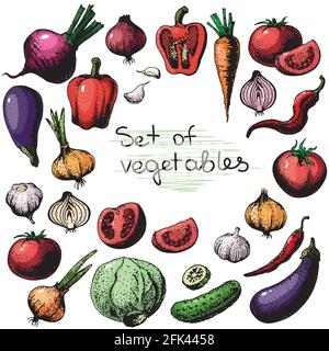 Big set of colored vegetables in sketch style.Vector illustration for your design. Stock Vector