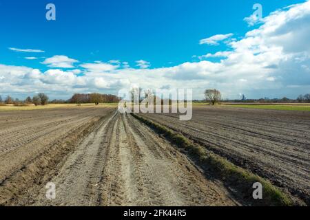 Dirt road between plowed fields and white clouds on the sky, Nowiny, Poland Stock Photo
