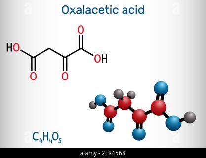 Oxaloacetic acid, oxalacetic acid, OAA, oxaloacetate molecule. It is ...