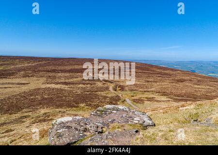 View from Twyn Llech in the Black Mountains along a footpath leading to the trig point at the summit of Hay Bluff. Powys Wales UK. April 2021 Stock Photo