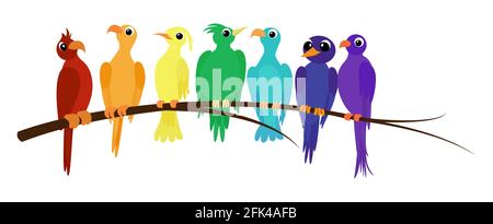 Learn the rainbow colors order with different parrot birds. Educational illustration isolated on white. Stock Vector