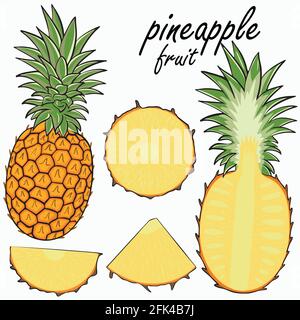 Pineapple fruit set. Vector collection of exotic fruits. Whole, half and pineapple wedges. Hand-drawn color illustration. Stock Vector