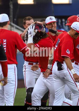 Lexington, KY, USA. 20th Apr, 2021. Louisville's Dalton Rushing celebrates his home run by dunning a football helmet during a game between the Kentucky Wildcats and the Louisville Cardinals at Kentucky Pride Park in Lexington, KY. Kevin Schultz/CSM/Alamy Live News Stock Photo