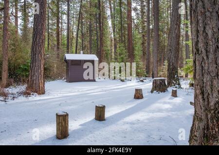 Small cabin in the winter forest; Camp Sherman in Oregon, USA Stock Photo