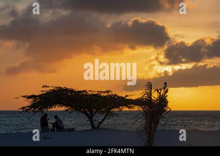 Sunset on a beach in Aruba with a tree in the foreground and the sun  shines through the clouds Stock Photo