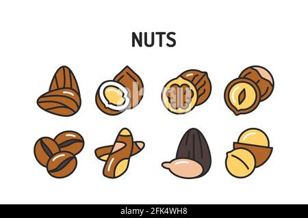 Nuts and seeds color line icons set. Isolated vector element. Outline pictograms for web page, mobile app, promo Stock Vector