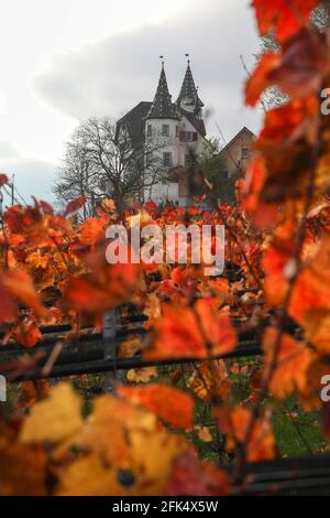 Schloss Weinstein in Marbach SG Stock Photo