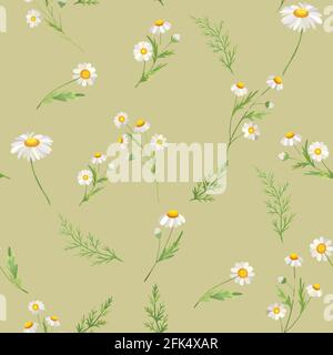 Chamomile seamless pattern. Beautiful floral blooming background. Stock Vector