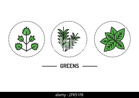 Greens color line icons concept. Vector illustration Stock Vector