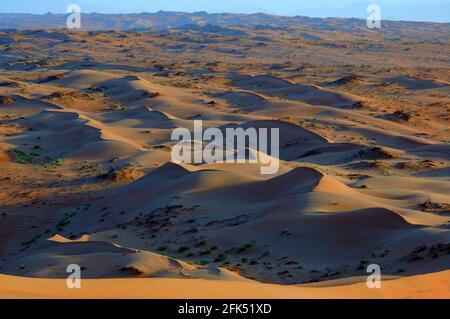 Western Asia, Arabian Peninsula, Sultanate of Oman, Al Qabil, Sharqiya Region, Wahiba sands, Stock Photo