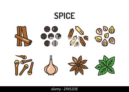 Spices and herbs color line icons set. Vector illustration. Stock Vector
