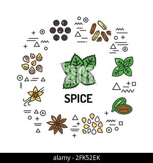 Spice web banner. Infographics with linear icons on white background. Creative idea concept. Isolated outline color illustration Stock Vector