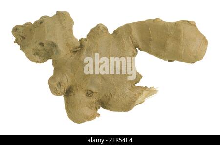 Ginger Zingiber officinale rhizome isolated on white background Stock Photo