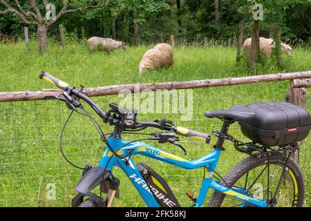 mit dem E-Bike im Schönramer Moor in der Gemeinde Petting Schafe auf der Weide