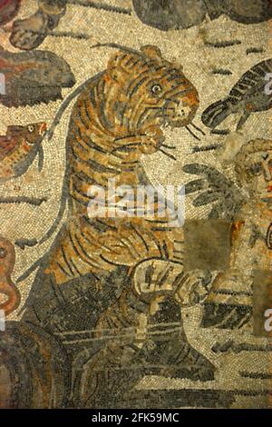An ancient roman mosaic depicting a mythical Sea Tiger. From the Hall of Arion in the UNESCO listed Ancient Roman mosaics in the Villa Romana del Casa Stock Photo
