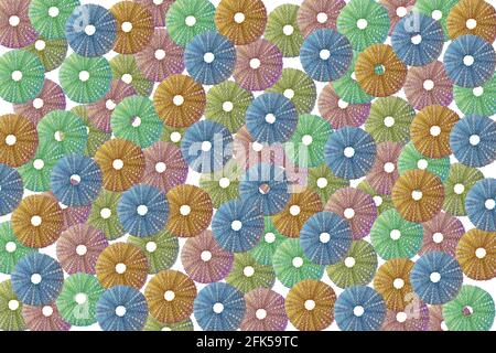 Pattern of different coloured sea urchins. On a white background Stock Photo