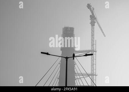 black and white photo of a bird sitting on pole at signature bridge,delhi. Stock Photo