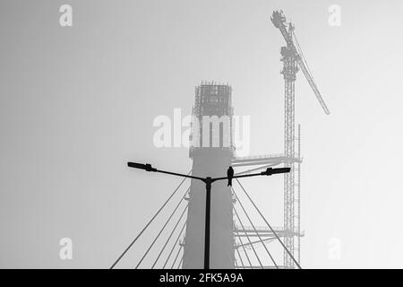 black and white photo of a bird sitting on pole at signature bridge,delhi. Stock Photo