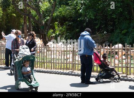 A child in a stroller blows bubbles at the Los Angeles Zoo Stock Photo