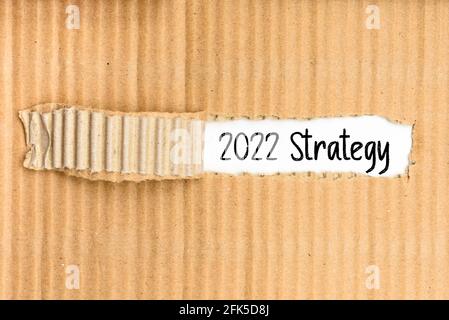 A document folder with the business strategy for 2022 written on its torn cover.