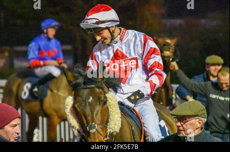 Night Horse Racing at Wolves Races, Wolverhampton Stock Photo