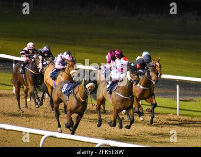 Night Horse Racing at Wolves Races, Wolverhampton Stock Photo