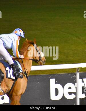 Night Horse Racing at Wolves Races, Wolverhampton Stock Photo