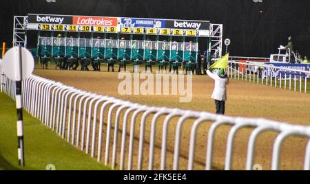 Night Horse Racing at Wolves Races, Wolverhampton Stock Photo