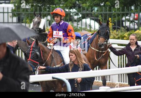 Wolverhampton Races, Wolves. Stock Photo