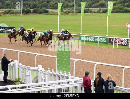 Wolverhampton Races, Wolves. Stock Photo