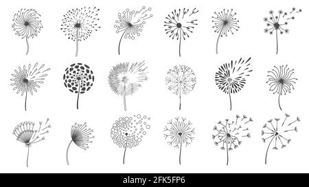 Blowing dandelion seeds. Silhouettes of fluffy wish flowers, spring blossom dandelions blown by wind. Nature floral logo design vector set Stock Vector