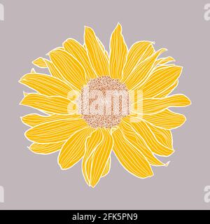 Single sunflower head digital drawing, yellow and terracotta with white outline on gray. Floral vector illustration in modern style. Decorative design element for wallpaper, wrapping, textile, fabric. Stock Vector