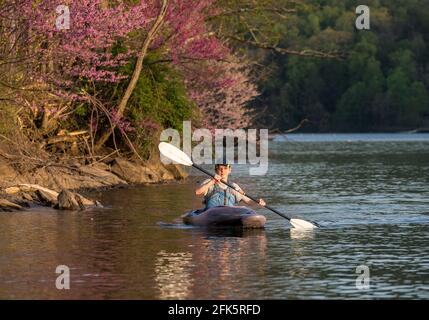 Caucasian man wearing PFD paddling towards the camera on a spring evening on a calm lake Stock Photo