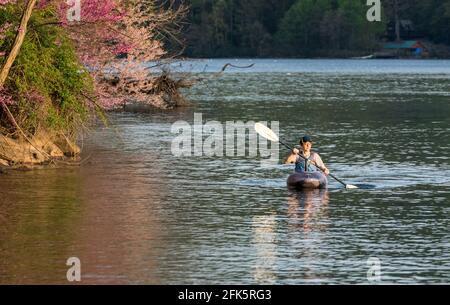 Caucasian man wearing PFD paddling towards the camera on a spring evening on a calm lake Stock Photo