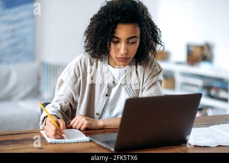 Attractive successful smart young African American woman in stylish clothes, freelancer or student working or studying remotely, sitting in living room at laptop, looking at screen, taking notes Stock Photo