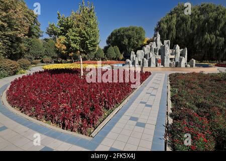 Flowerbeds of Dragon's Breath Celosia-Yellow Chrysanthemum-China Pink flowers. Ganquan Park-Zhangye-Gansu-China-1302 Stock Photo