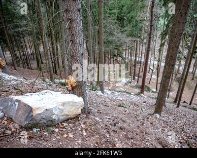 Collapsed rocky boulders fall down from sandstone rocks and landslide blocked forest path. Danger place Cesky raj park, north of Czechia. Stock Photo