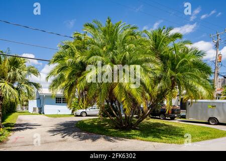 Photo series of single family homes in Golden Shores neighborhood in Sunny Isles Beach Florida USA Stock Photo