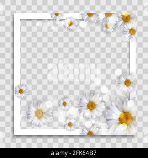 Empty Photo Frame Template with Spring Flowers for Media Post in Social Network. Vector Illustration Stock Vector