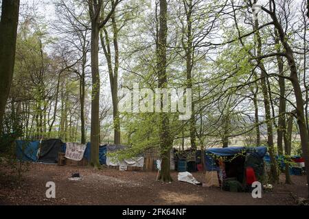 Wendover, UK. 28th April, 2021. A protection camp occupied by activists opposed to the HS2 high-speed rail link in ancient woodland at Jones Hill Wood in the Chilterns AONB. Felling of the woodland, which contains resting places and/or breeding sites for pipistrelle, barbastelle, noctule, brown long-eared and nattererÕs bats, has recommenced after a High Court judge yesterday refused campaigner Mark Keir permission to apply for judicial review and lifted an injunction on felling. Credit: Mark Kerrison/Alamy Live News Stock Photo