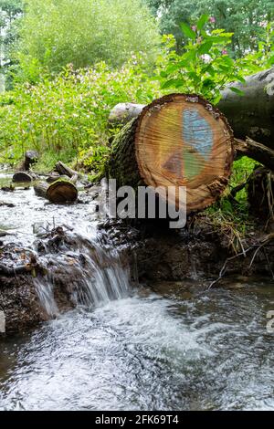 Vertical shot of cut logs in a river flowing down in a bright green forest Stock Photo