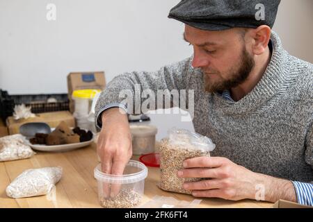 Nuremberg, Germany. 19th Apr, 2021. Ralph Haydl scatters mushroom spawn into the pot of a mushroom growing kit for oyster mushrooms. The 41-year-old from Nuremberg has been selling mushroom cultivation sets for several years, with which you can grow different oyster mushrooms, yellow lemon mushrooms or pink rose mushrooms at home. (to dpa 'Delicious mushrooms on old coffee - niche or trend?') Credit: Daniel Karmann/dpa/Alamy Live News Stock Photo