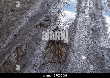 Muddy puddles of water and melting snow on the asphalt road. An abstraction. Stock Photo