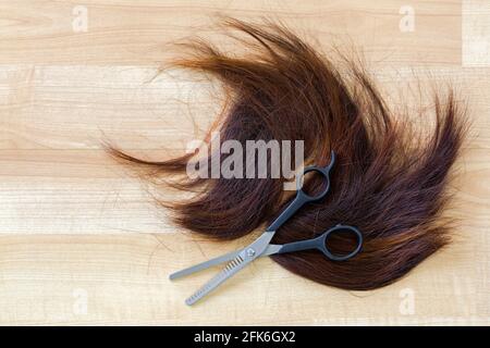 Pair of shears, thinning Scissors on bunch of trimmed cut off reddish brown hair on wooden floor at hairdressing salon, with copyspace Stock Photo