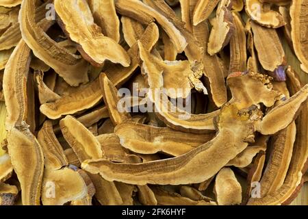 Closeup top view texture of sliced dried Lingzhi reishi mushroom. It is medicinal mushroom in traditional Chinese medicine Stock Photo