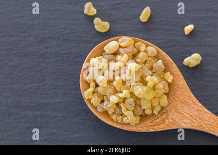 Wooden spoon of Aromatic yellow resin gum from Sudanese Frankincense tree, incense made by slashing bark of Boswellia sacra tree in Etiopia on dark bl Stock Photo