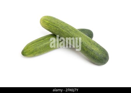 Two cucumbers isolated on a white background. Stock Photo