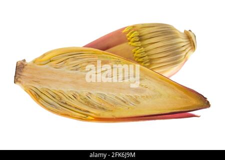 Closeup cross section of fresh raw banana blossom with maroon purplish flowers cut in half isolated on white background Stock Photo