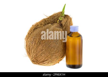 Bottle of Cold pressed coconut oil next to old mature raw coconut shell with brown fiber and green sprout isolated on white background Stock Photo