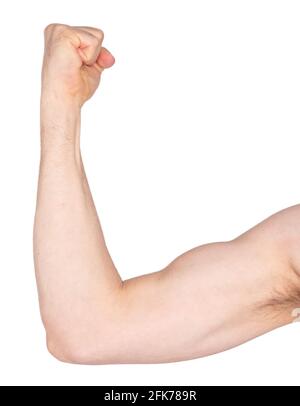 Male arm shows biceps, isolated on white Stock Photo